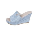thumbnail image 1 of Wensltd Wedge Sandals for Women Fashion Plus Size Open Toe Sandals Spring Summer Thick Sole Beach Slippers Comfortable Outdoor Light Blue, 1 of 9