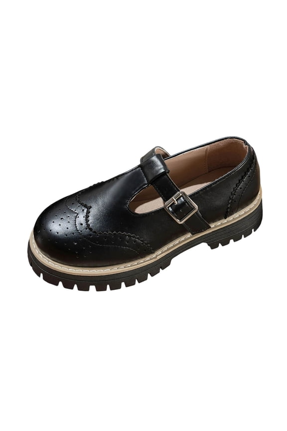 Women Dressy Shoes Chunky Heel Mary Jane Loafer Shoes Round Toe Thick Sole Comfortable Wear Outdoor Walking Shoes