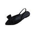 thumbnail image 1 of Wensltd Women's Shoes Comfortable Breathable Flats Solid Color Bow Decor Pointed Toe Closed Toe Flat Shoes Black, 1 of 9