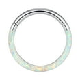thumbnail image 1 of Wentin Reduced Nose Jewelry 16G Opal Septum Rings Hoop Nose Ring Lip Rings Stainless Steel Hinged Segment Ring Seamless Ring Cartilage Earrings Hoop Tragus Septum Piercing Jewerly, 1 of 3