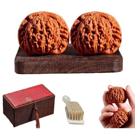 Wenwan Walnuts – Natural Chinese Hand Training Walnut Set (2Pcs), Traditional Collectible Massage & Fidget Balls for Focus & Relaxation, Comes with Gift Display Box & Cleaning Brush(1.4*1.3in)
