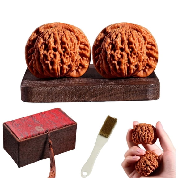 Wenwan Walnuts Natural Chinese Walnuts Fidget Hand Massage Balls Stress Relief Meditation Relaxation Gift for Fathers Elders Collectors with Storage Box & Brush