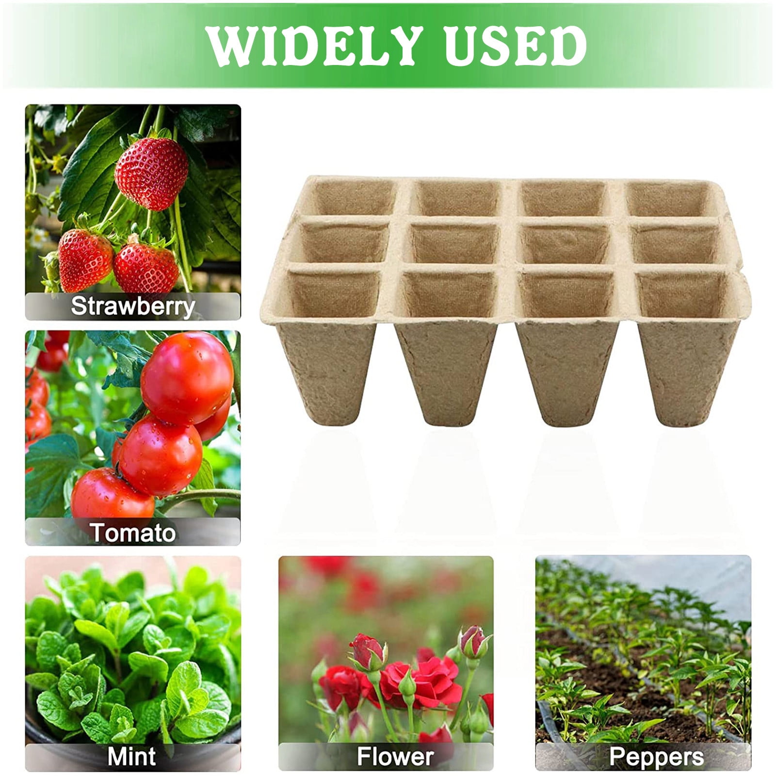 WeowiYief Gardening And Planting Paper Tray Cup Plant Label 50PCS Set ...