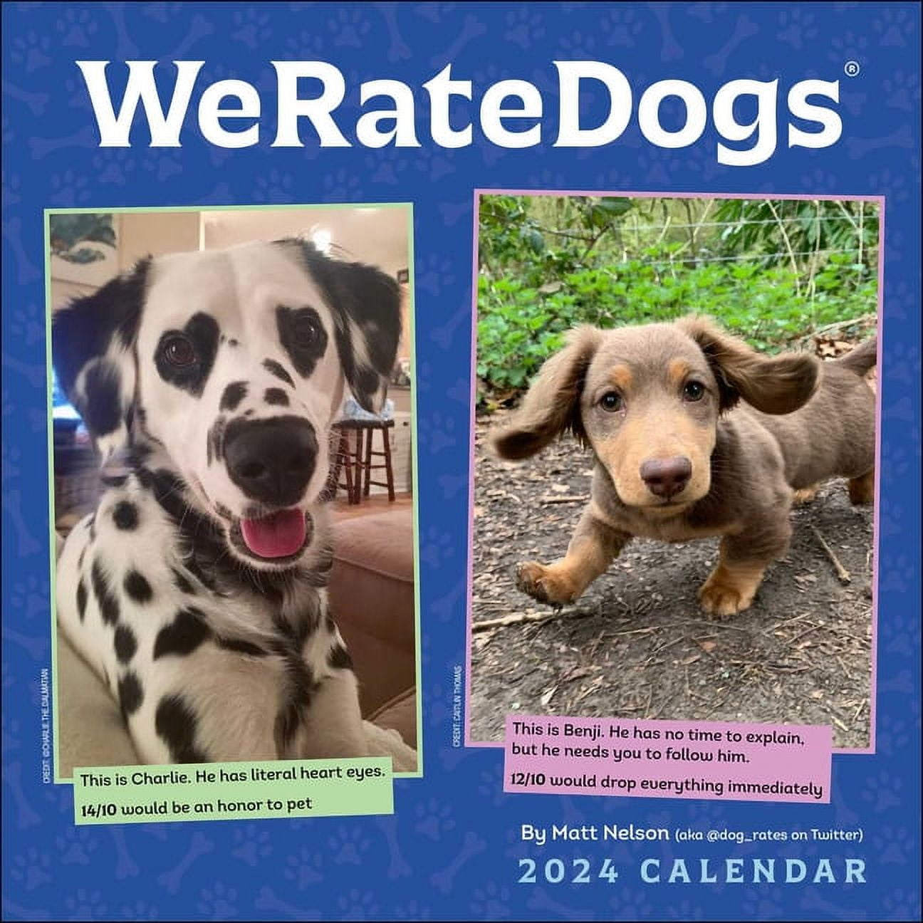 Weratedogs 2024 Wall Calendar (Calendar)