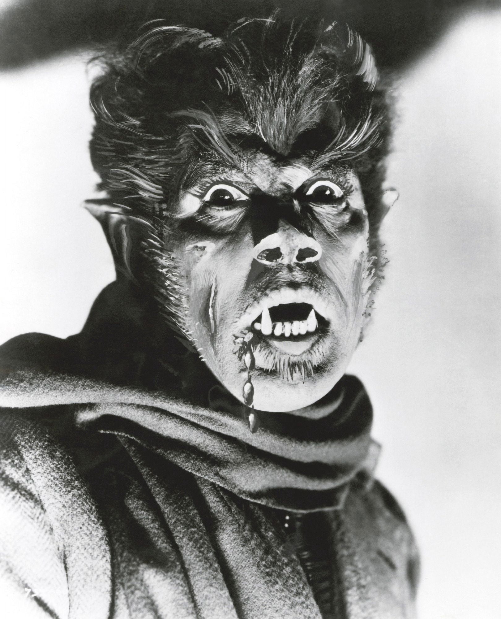Werewolf Of London Canvas Art - (16 x 20)