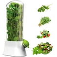 thumbnail image 1 of Werulen Herb Storage Container Refrigerator Freshness Keeper, 5.1x2.75x10.62 Inch Herb Saver Box for Parsley Cilantro Mint, Vegetable Preservation Bottle Kitchen Gadgets, Airtight Crisper Drawer, 1 of 6