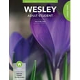 thumbnail image 1 of Wesley Spring 2024: Adult Comprehensive Bible Study Student Book Large Print (#3087), 1 of 1