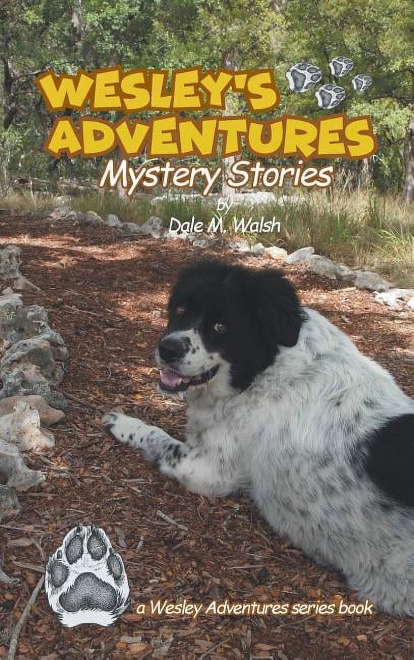 Wesley's Adventure Stories Wesley's Adventures: Mystery Stories, Book 3, (Hardcover)