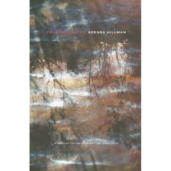 Wesleyan Poetry: Practical Water (Paperback)