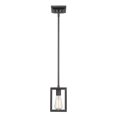 thumbnail image 1 of Golden Lighting Wesson 1-light Pendant in Matte Black, 1 of 6