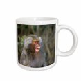 thumbnail image 1 of 3drose, West Africa. Hamadryas Baboon Primate - Na02 Sws0102 - Stuart Westmorland, 15oz Mug, 1 of 6