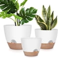 thumbnail image 1 of West Bay 12" 10" 9" Large Self Watering Plant Pots, 3 Pack Flower Pots Planters with Multi Mesh Drainage Holes for Indoor Outdoor Garden Plants and Flowers (White), 1 of 8