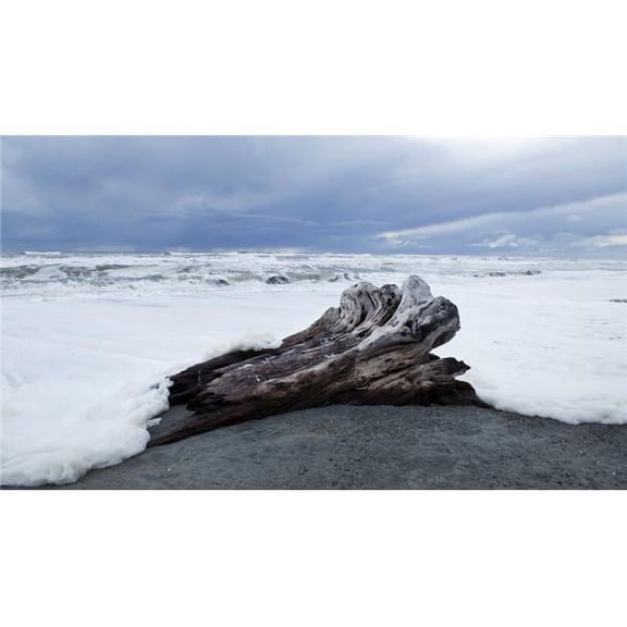 West Coast surf approches driftwood tree stump that has been washed up; South Island   Zealand Poster Print