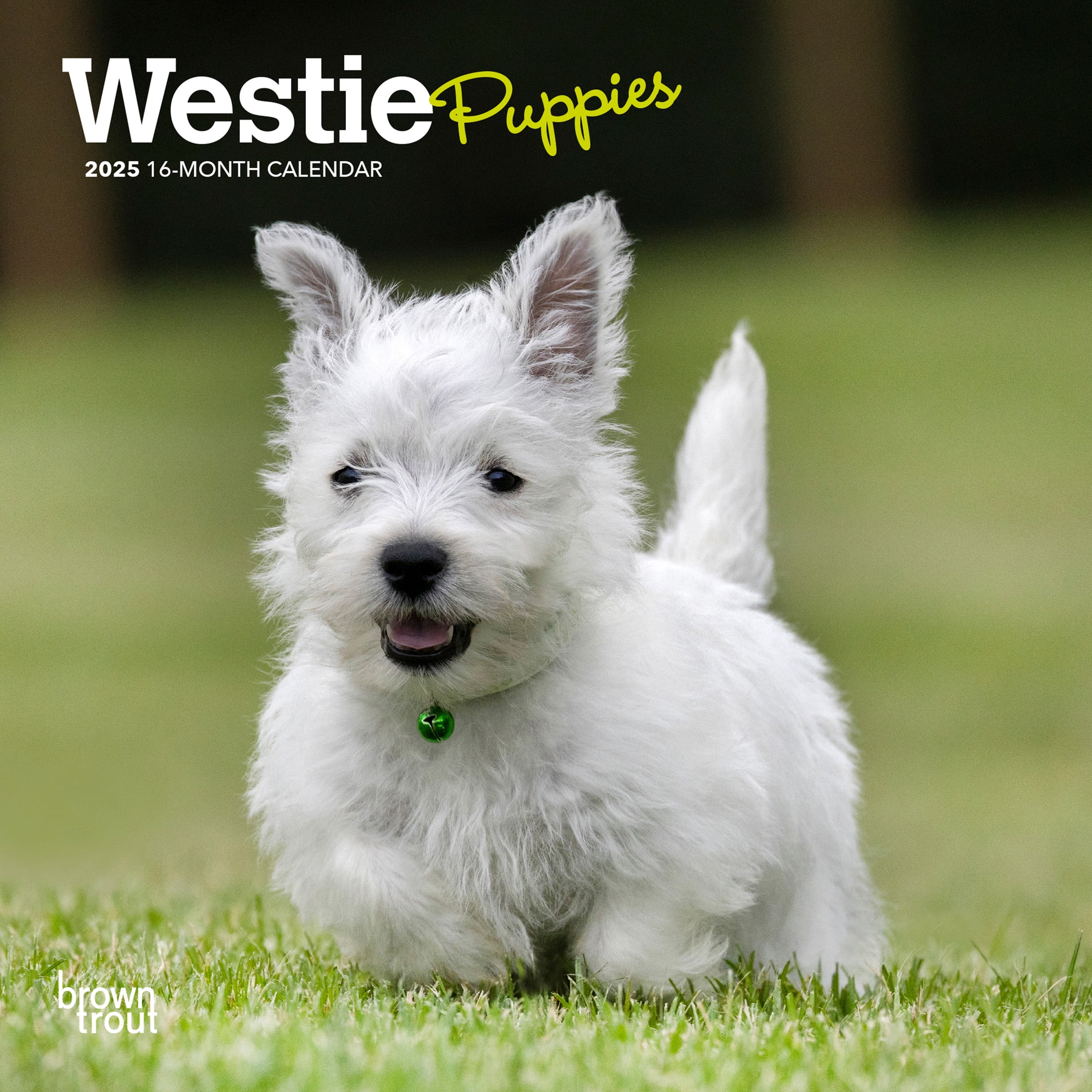 Calendar West Highland Terrier Prices West Highland White Terrier
