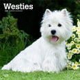 thumbnail image 1 of West Highland White Terriers | 2026 12x24" (Hanging) Wall Calendar | Plastic-Free, 1 of 9