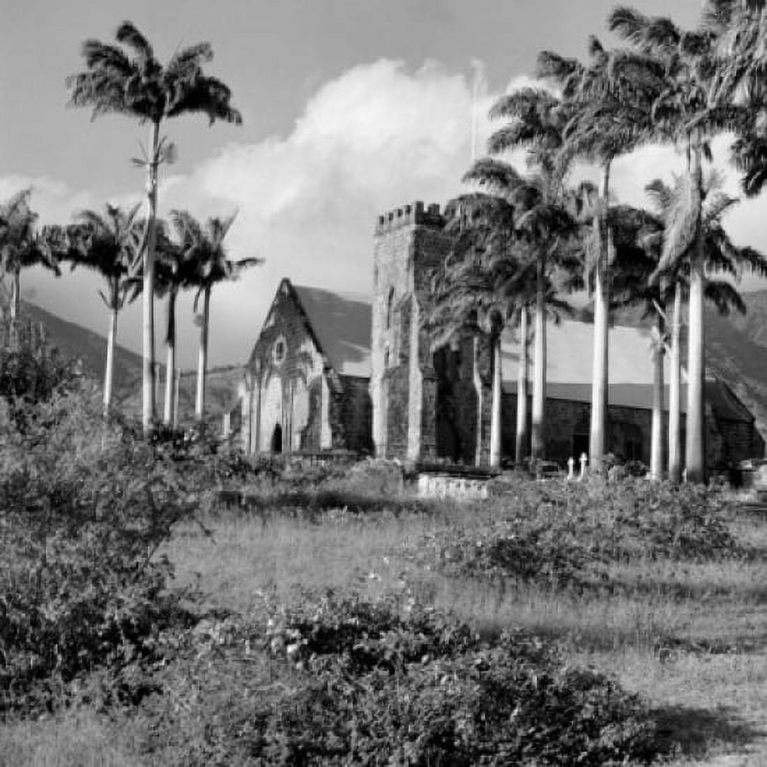 West Indies Saint Christopher Island old building between palm trees Canvas Art - (18 x 24)