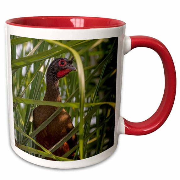 3drose, West Mexican Chachalaca in Sayulita, Mexico, 15oz Two-tone Red Mug