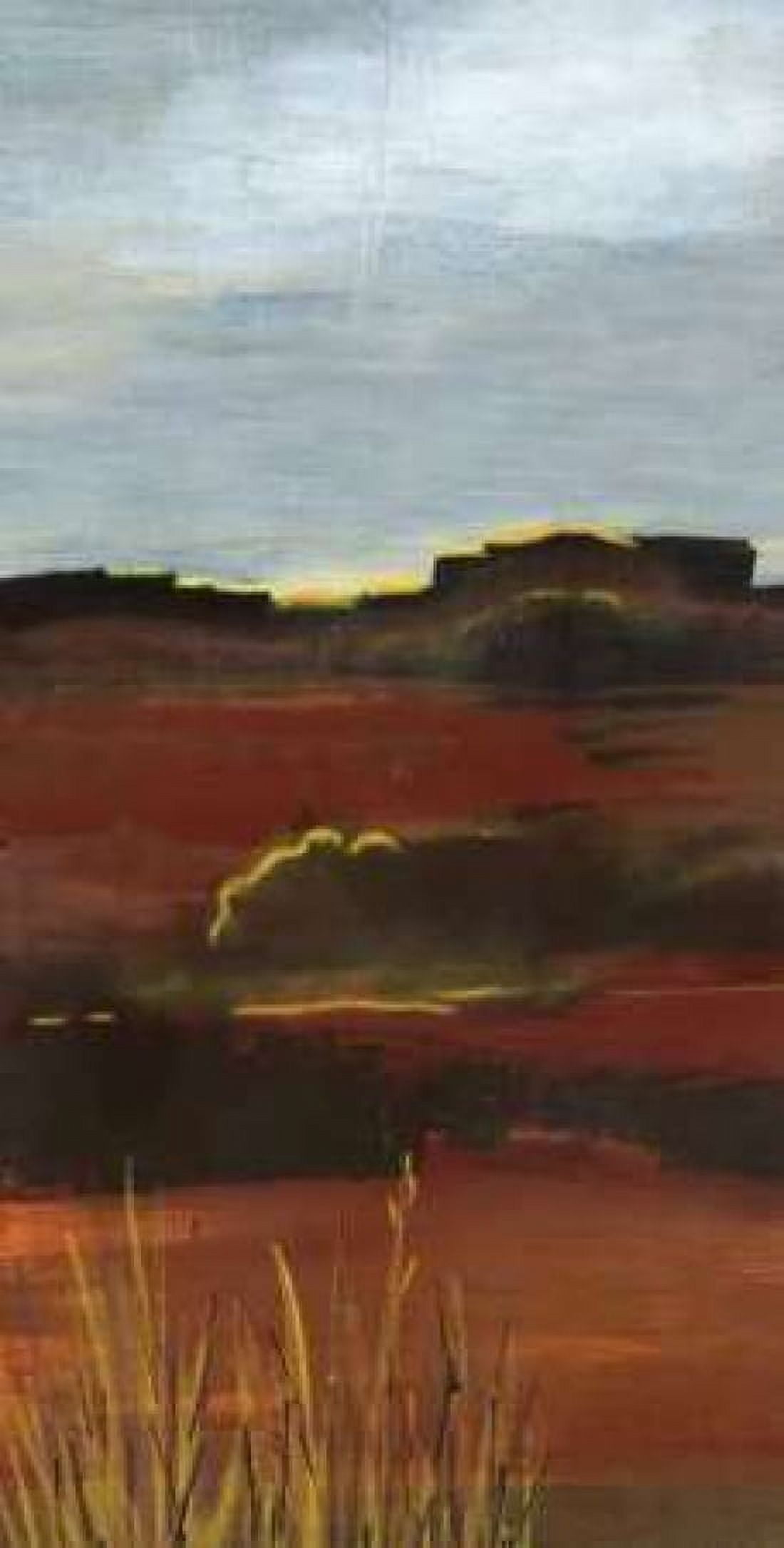 West Range Canvas Art - Leslie Bernsen (24 x 48)