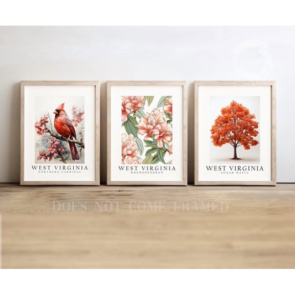 West Virginia State Symbols Poster Prints Northern Cardinal Sugar Maple and Rhododendron Wall Art Decor Set 3