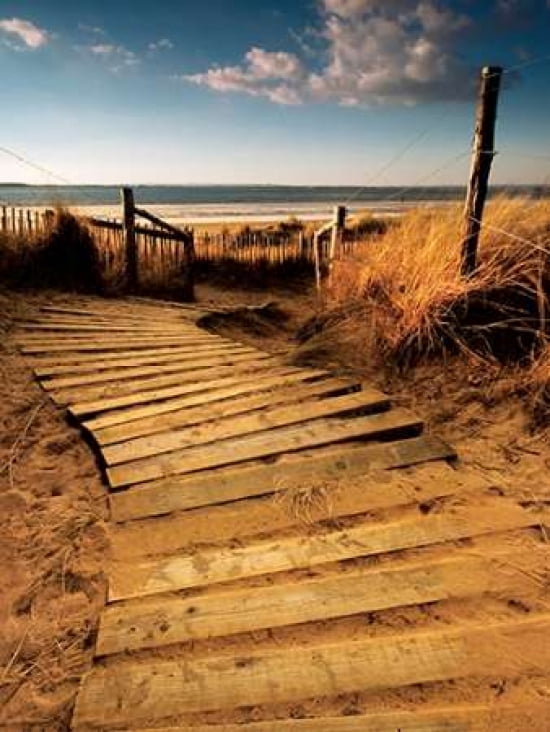 West Wittering Canvas Art - Helen Dixon (18 x 24)