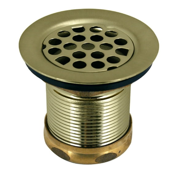 Westbrass Junior Bar and Laundry Sink Drain Assembly with Strainer Cover, Polished Brass