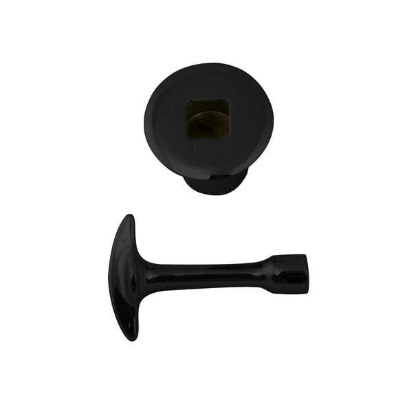 Westbrass R500-62 3/4" NPSM Gas Fire Pit and Fireplace Log Lighter Key Valve Trim Kit, Matte Black
