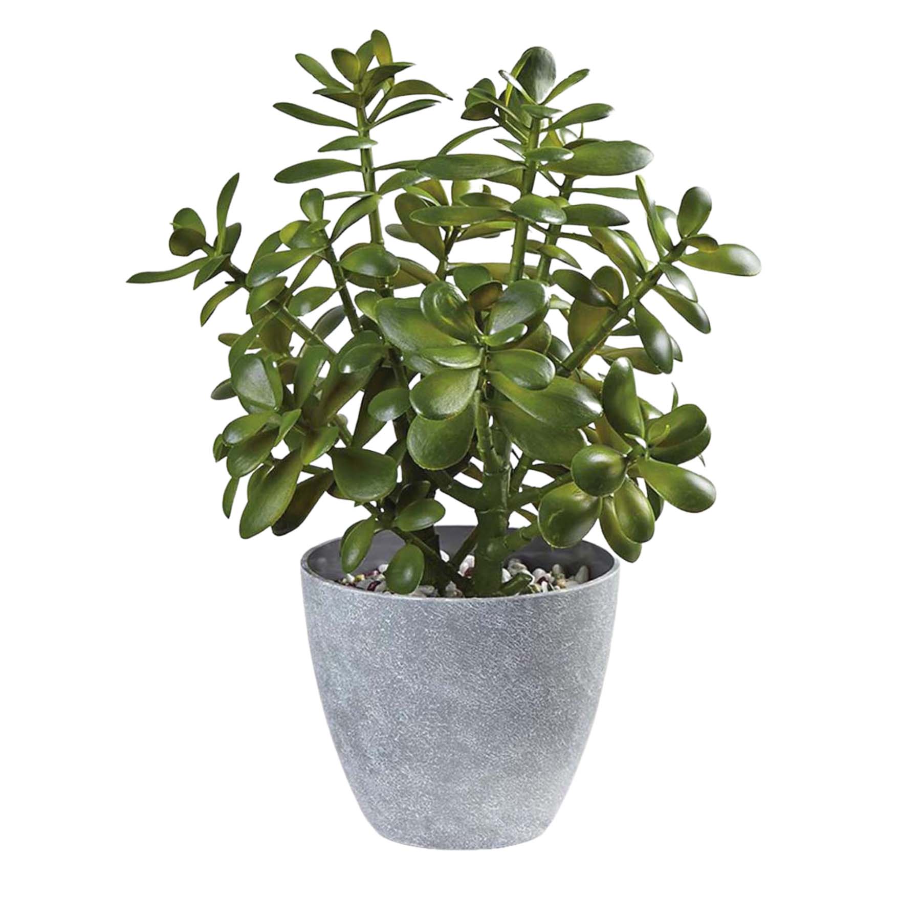 Threshold Tabletop Arrangement 15" Zamioculcas Zamiifolia Faux Plant