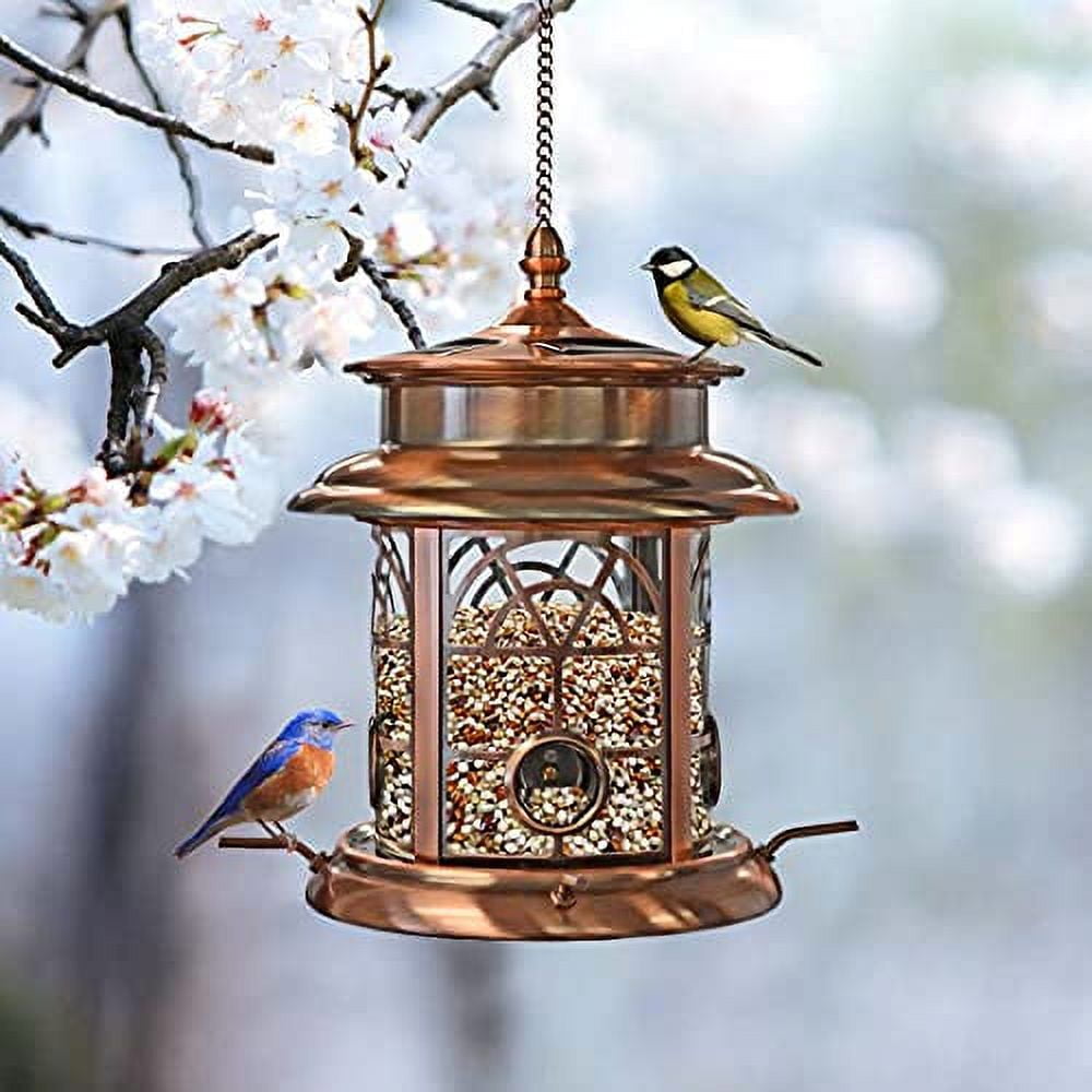 Westcharm Solar Bird Feeder for Outside Hanging | Garden Solar Powered LED Arch Inlay Squirrel Proof Birdfeeder | Outdoor Solar Lantern Feeder for Birds | Gift for Bird Lovers - An