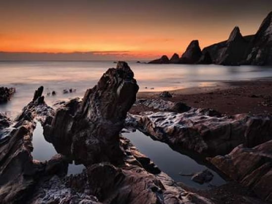 Westcombe Bay Devon Canvas Art - David Clapp (18 x 24)