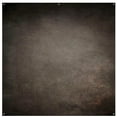 thumbnail image 1 of Westcott 8x8' X-Drop Pro Fabric Backdrop, Harley by Joel Grimes, 1 of 2