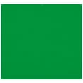 thumbnail image 1 of Westcott 8x8' X-Drop Pro Wrinkle-Resistant Backdrop, Chroma-Key Green Screen, 1 of 2