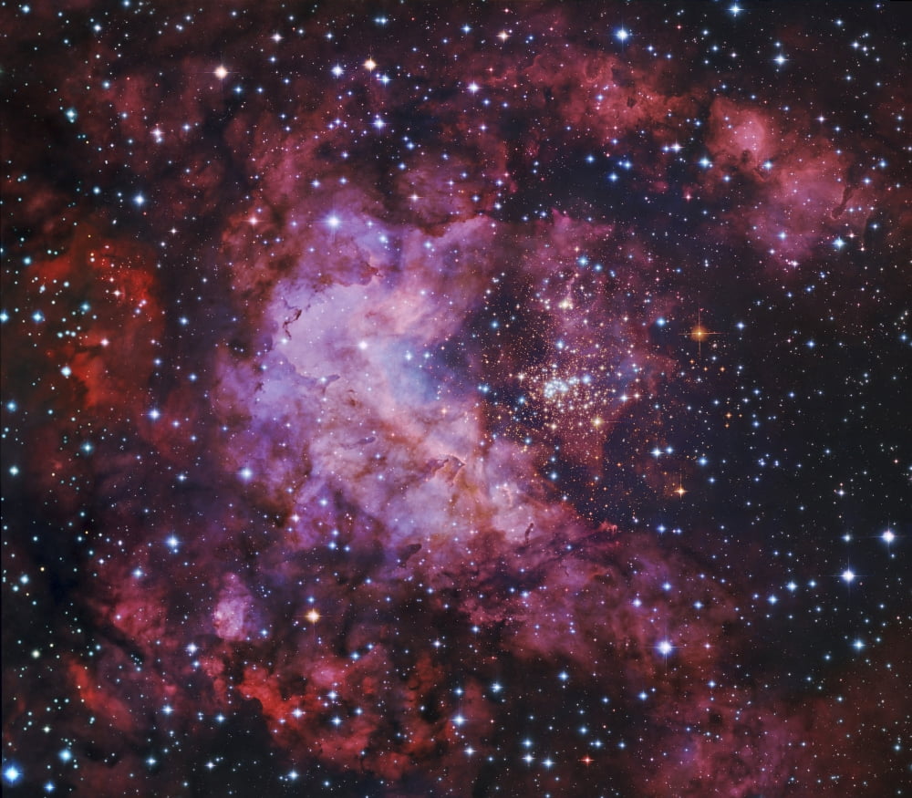Westerlund 2 (Gum 29) star cluster in Carina Canvas Art - Robert GendlerStocktrek Images (30 x 27)