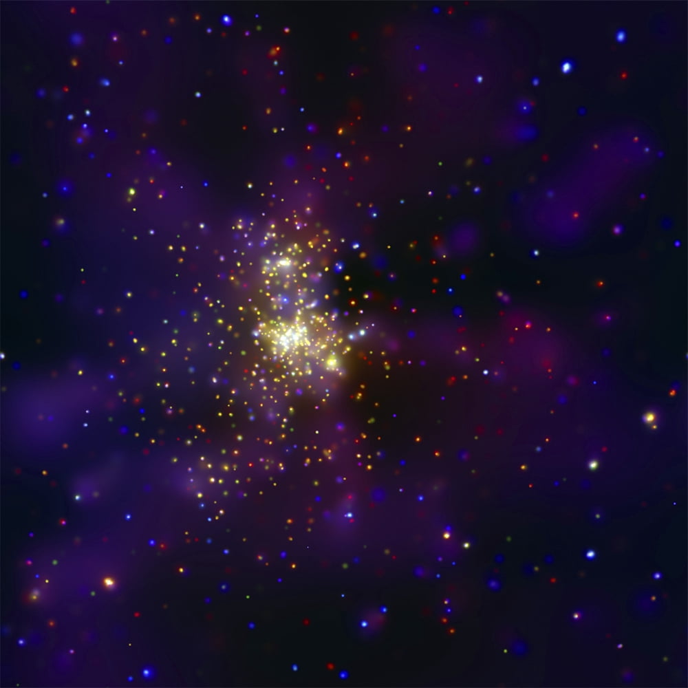 Westerlund 2 a young star cluster Canvas Art - Stocktrek Images (28 x 28)