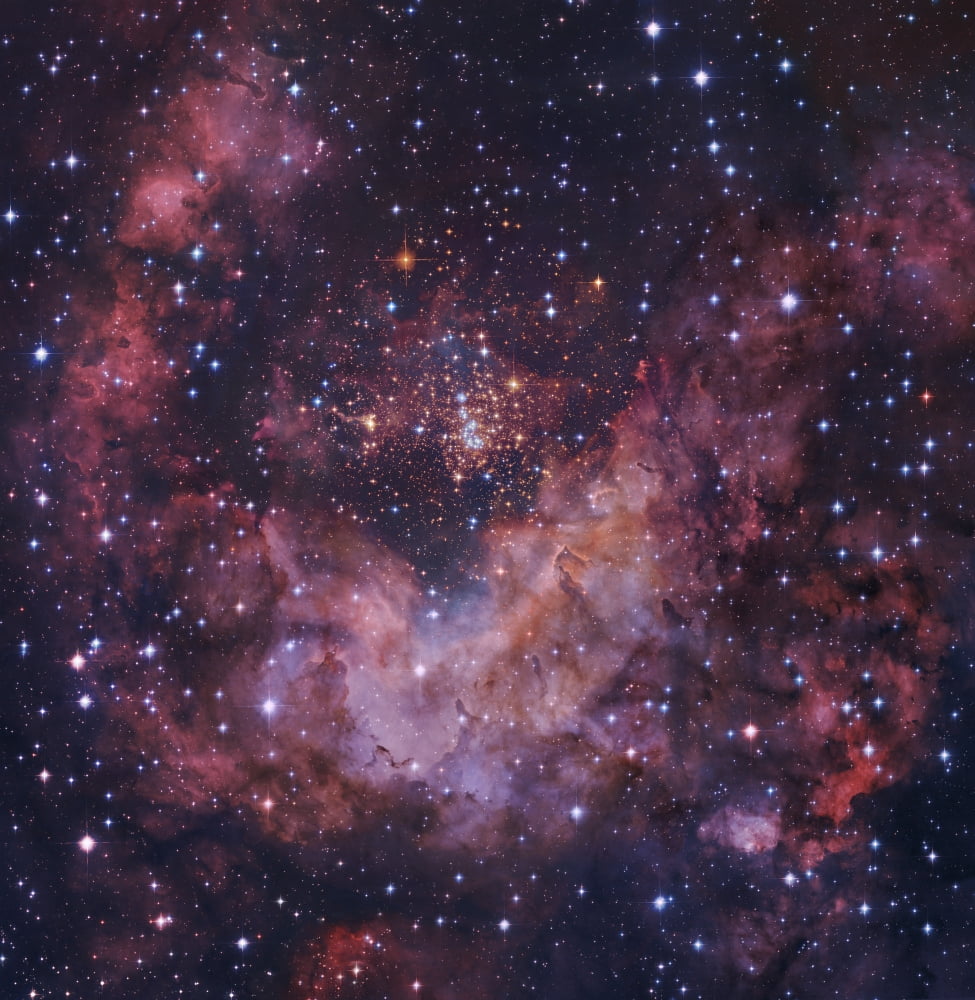 Westerlund 2 star cluster in Carina Canvas Art - Robert GendlerStocktrek Images (28 x 29)