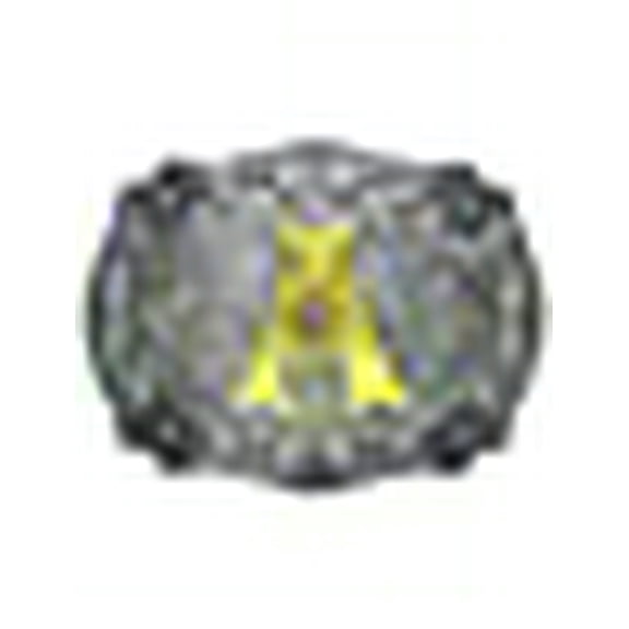 Western Belt Buckle Initial Letters ABCDEFG to Y-Cowboy Rodeo Silver Large Belt Buckle for Men and Women