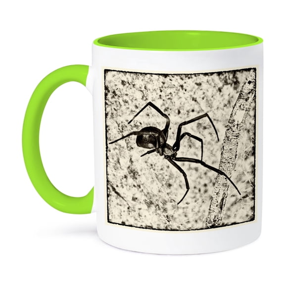 3dRose, Western Black Widow spider (Latrodectus hesperus) , 11oz Two-Tone Green Mug