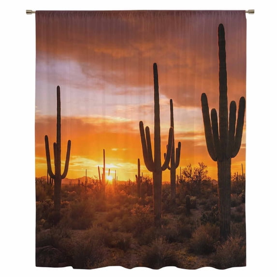 Western Cactus Sunset Sheer Curtains 63 Inches Long, Modern Abstract Art Retro Light Filering Curtains, Breathable Simi Curtain Privacy Drapes for Living Room Bedroom Lightweight Window Treatment