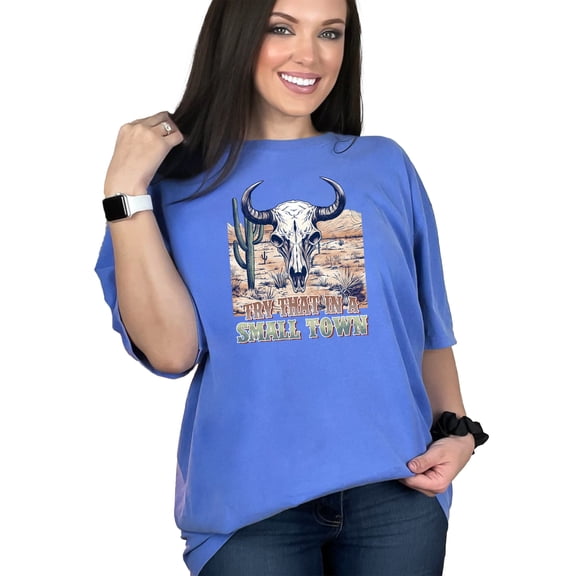 Western Cowboy Skull Desert Cactus Graphic T-Shirt, Try That In A Town T-Shirt, Country Music Fan Shirt, Retro Western Tee, Flo Blue Comfort Colors T-Shirt, XL