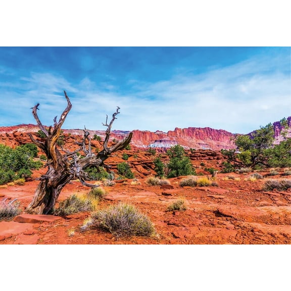 Western Desert Dead Wood Natural Scenery Room Decoration Backdrop Photographic Photo Background For Photo Studio