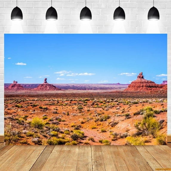 Western Desert Landscape Backdrop Cactus Plant Sand Blue Sky Birthday Party Portrait Photography Background r Photo studio