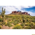 thumbnail image 1 of Western Desert Sce Photography Backdrop Dusk Desert Cactus Mountain Shrub Hillside Natural Landscape Portrait Photo Background, 1 of 5