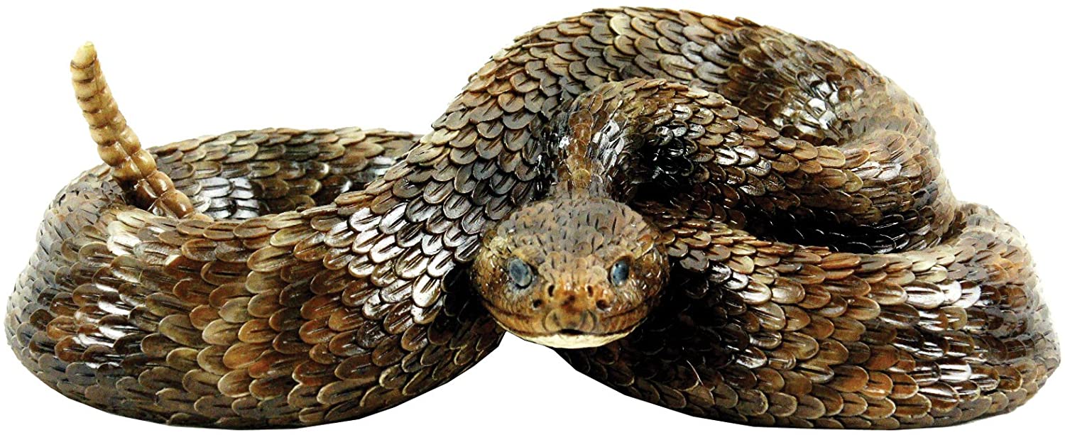 Western Diamondback Rattlesnake S by Michael Carr Designs Outdoor