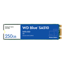 Western Digital 250GB WD Blue SA510 SATA SSD, Internal M.2 2280 Solid State Drive - WDS250G3B0B