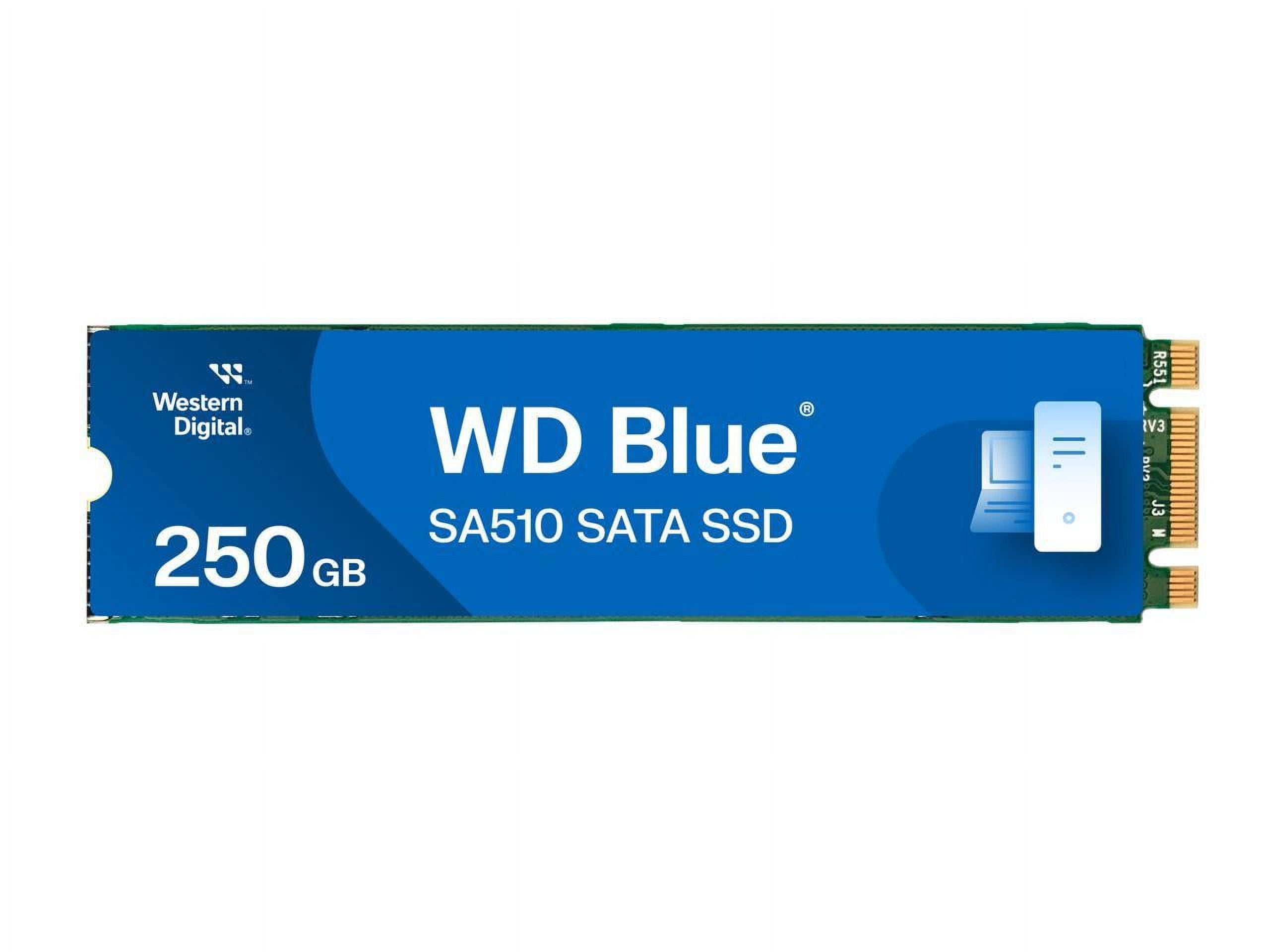 Western Digital 250GB WD Blue SA510 SATA SSD, Internal M.2 2280 Solid State Drive - WDS250G3B0B-00AXS0