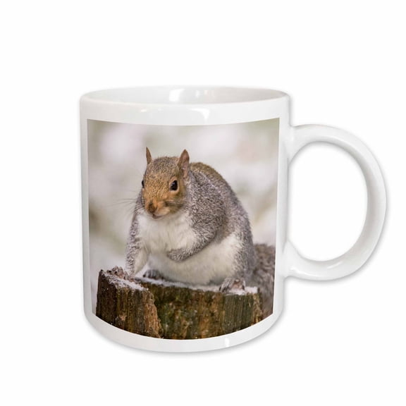3drose, Western Grey Squirrel, Sciurus Griseus, Perched on a Snowy Tump, 15oz Mug