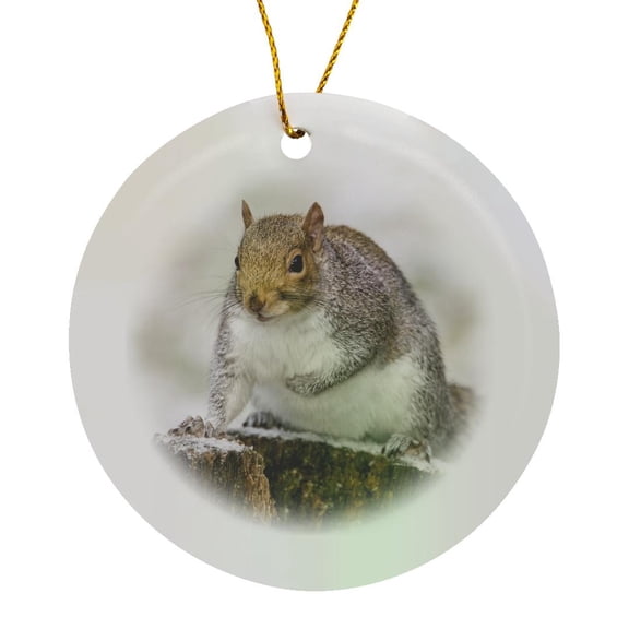 3drose, Western Grey Squirrel, Sciurus Griseus, Perched on a Snowy Tump, Circle Porcelain Ornament