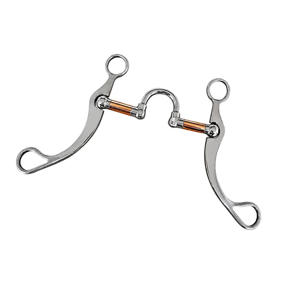 Western Horse Bit, Stainless Steel Riding Hardware for Bridle Setup, Polished Rein Connection Piece, Training Use, Practice Daily Rides