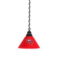 thumbnail image 1 of Western Kentucky University Pendant Light with Brass Fixture, 1 of 5