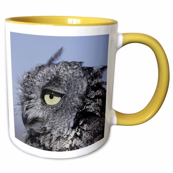 3drose, Western Screech Owl, Otus Kennicottti, 11oz Two-tone Yellow Mug