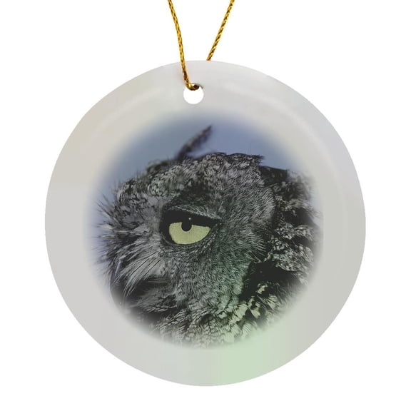 3drose, Western Screech Owl, Otus Kennicottti, Circle Porcelain Ornament